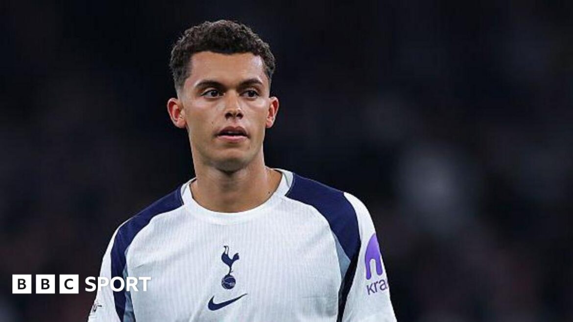 Brennan Johnson playing for Tottenham