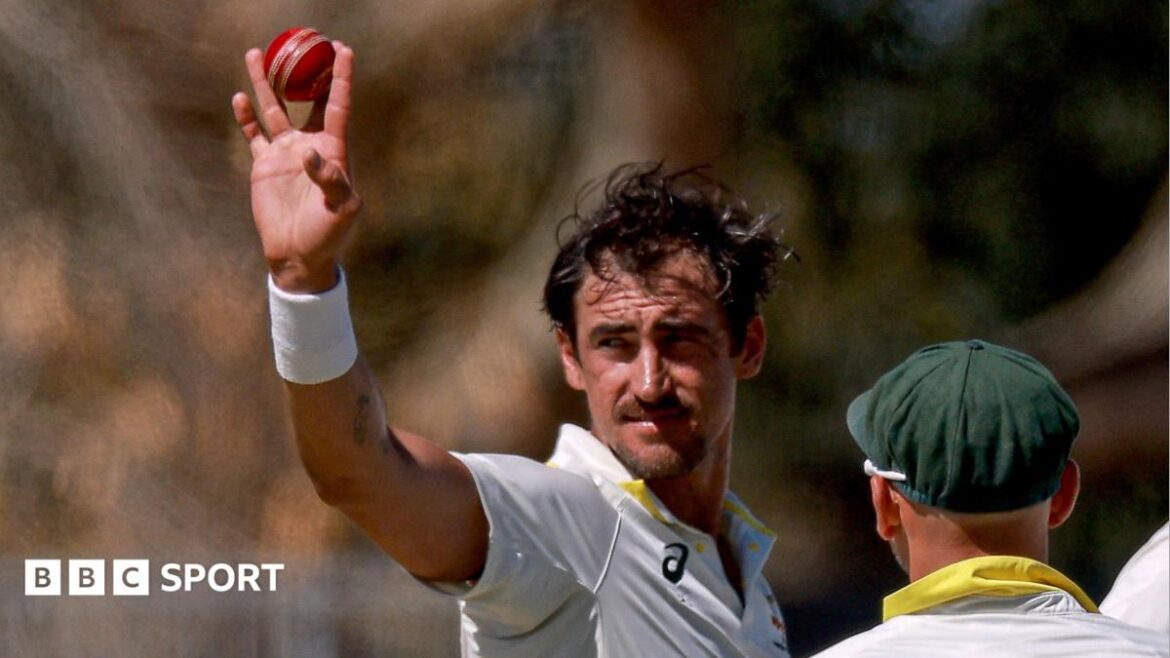Mitchell Starc holds the ball aloft after taking five wickets
